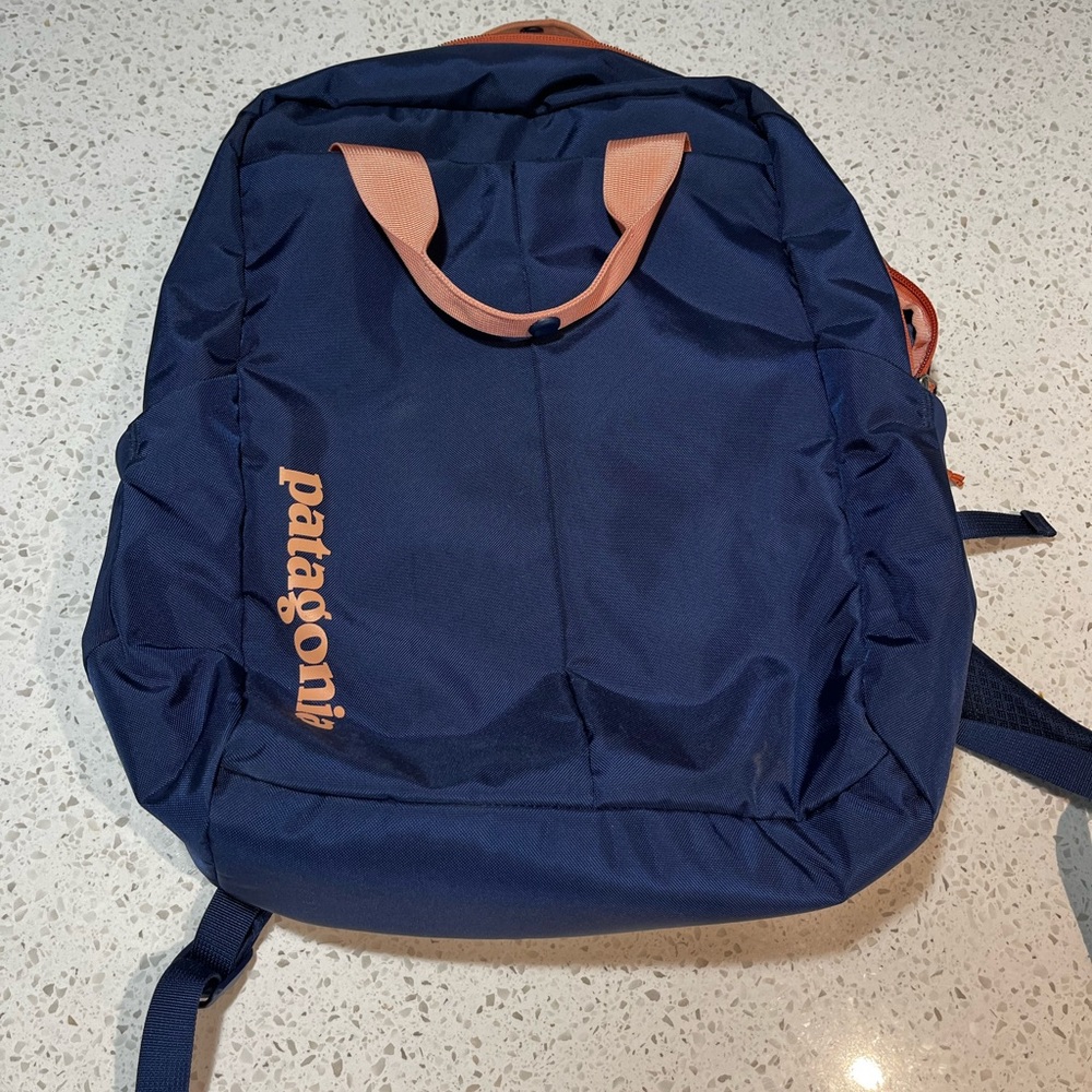 Patagonia Backpack